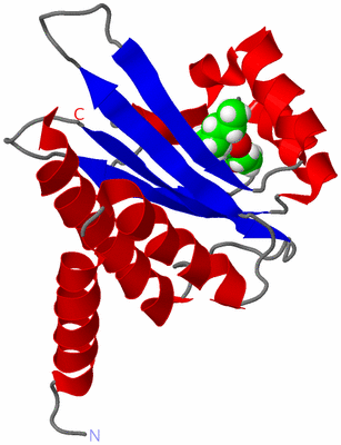 Image NMR Structure - model 1