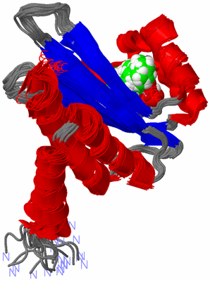 Image NMR Structure - all models