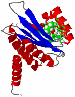 Image NMR Structure - model 1, sites