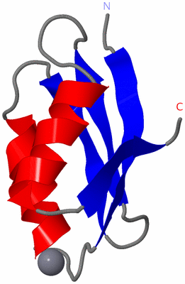 Image NMR Structure - model 1