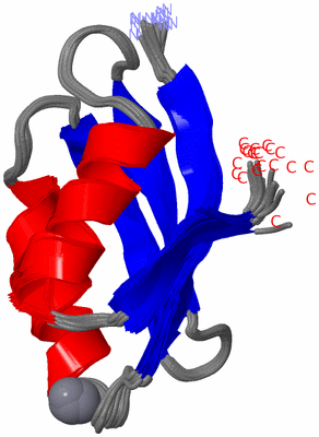 Image NMR Structure - all models