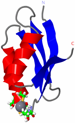 Image NMR Structure - model 1, sites