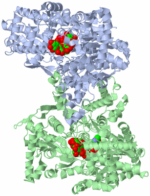 Image Asym./Biol. Unit