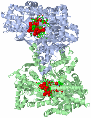 Image Asym./Biol. Unit - sites