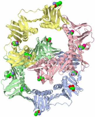 Image Asymmetric Unit