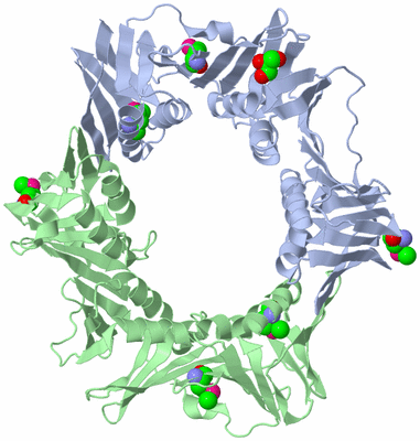 Image Biological Unit 1