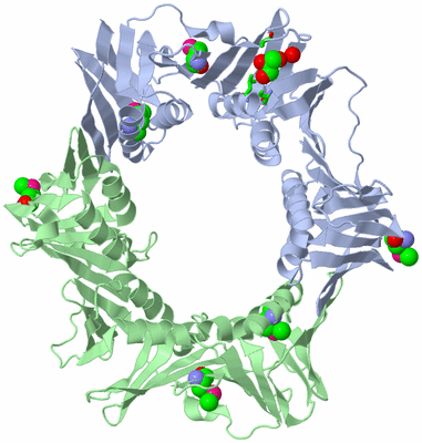 Image Biol. Unit 1 - sites