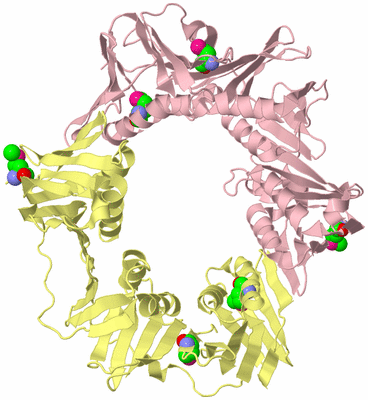 Image Biological Unit 2