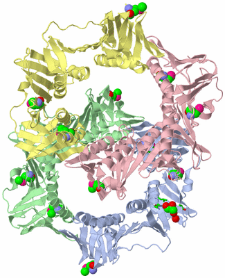 Image Asym. Unit - sites