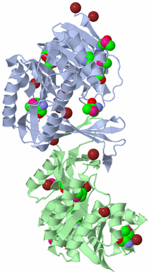 Image Asym./Biol. Unit