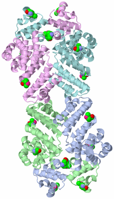 Image Biological Unit 1