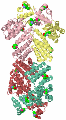Image Biological Unit 2