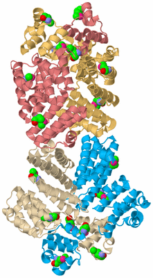 Image Biological Unit 3