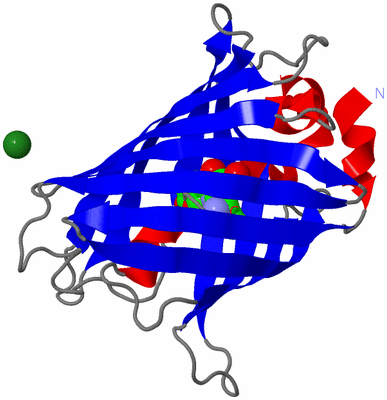 Image Asym./Biol. Unit