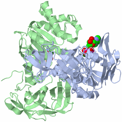 Image Biological Unit 1