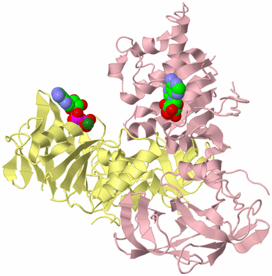 Image Biological Unit 2