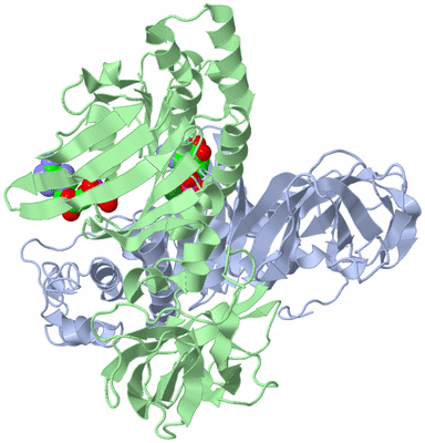 Image Biological Unit 1