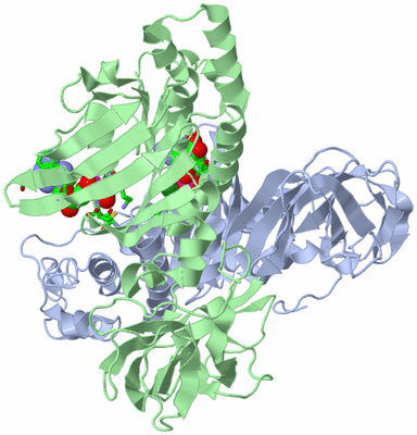 Image Biol. Unit 1 - sites