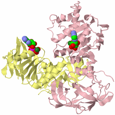 Image Biological Unit 2