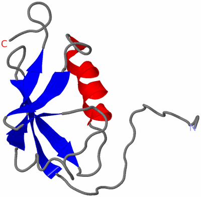 Image NMR Structure - model 1