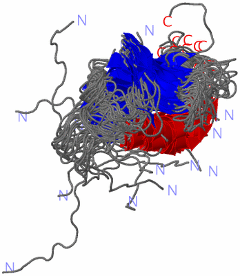 Image NMR Structure - all models