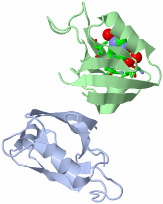 Image Asym. Unit - sites