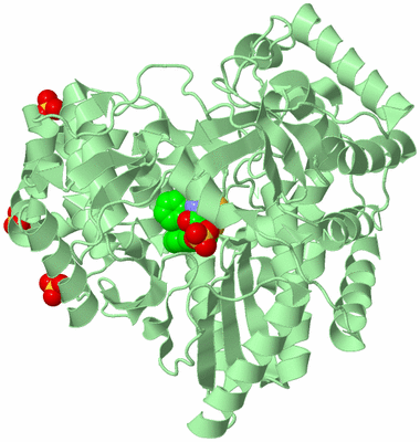 Image Biological Unit 2