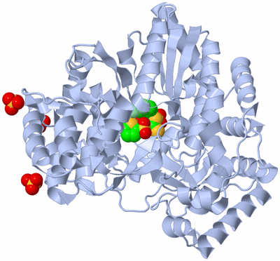 Image Biological Unit 1