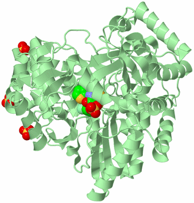 Image Biological Unit 2