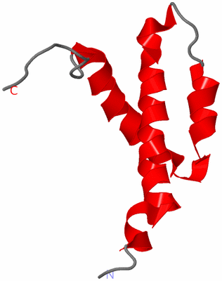 Image NMR Structure - model 1