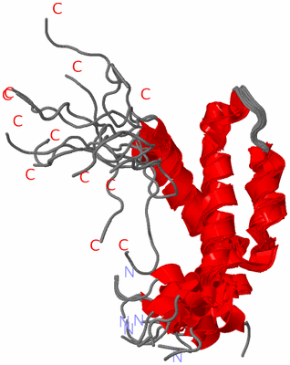 Image NMR Structure - all models