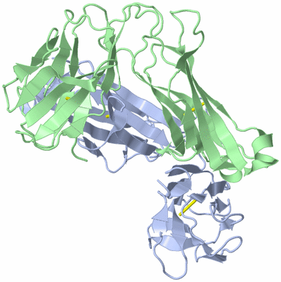 Image Biological Unit 1