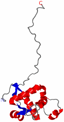 Image NMR Structure - model 1