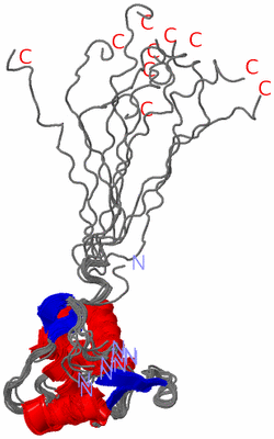 Image NMR Structure - all models