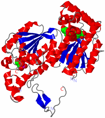 Image Asym./Biol. Unit