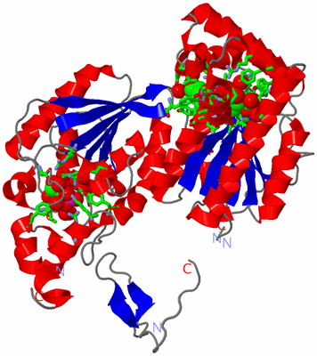 Image Asym./Biol. Unit - sites