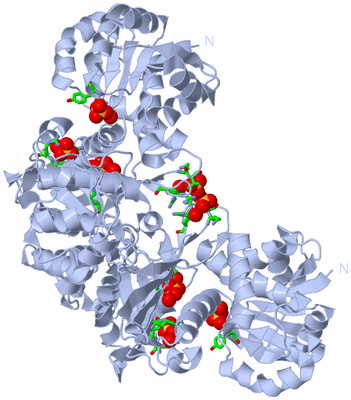 Image Biol. Unit 1 - sites