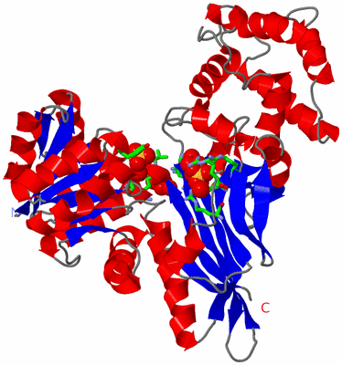 Image Asym. Unit - sites