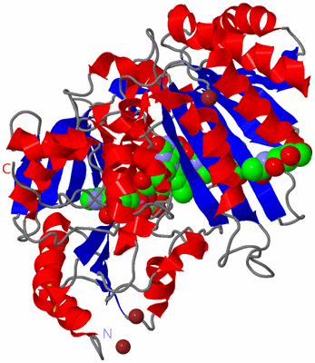 Image Asym./Biol. Unit