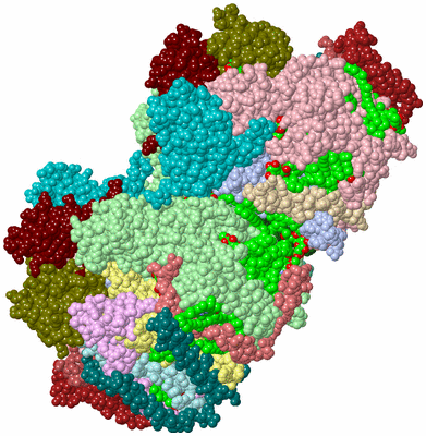 Image Asym./Biol. Unit