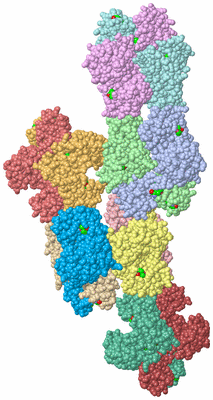 Image Asymmetric Unit