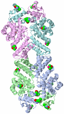 Image Biological Unit 1