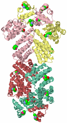 Image Biological Unit 2