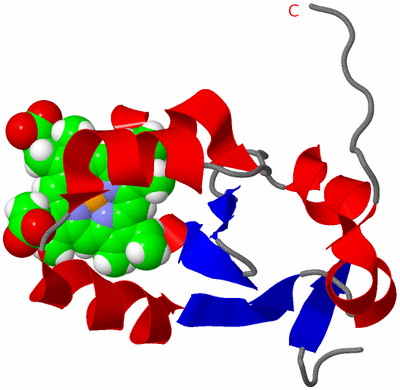 Image NMR Structure - model 1