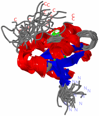 Image NMR Structure - all models
