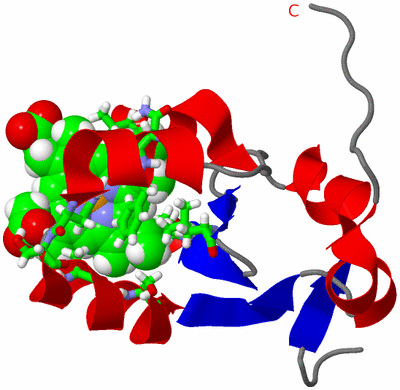Image NMR Structure - model 1, sites