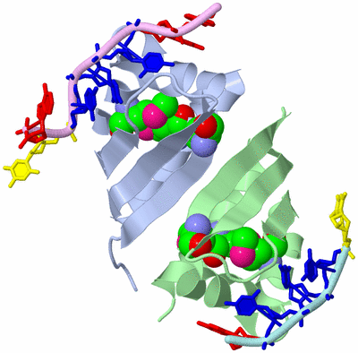 Image Biological Unit 1