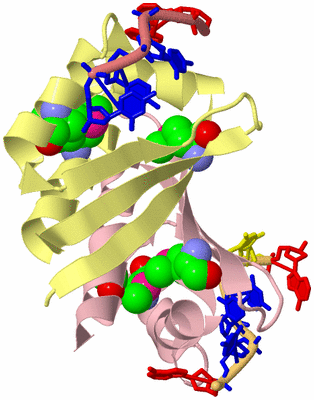 Image Biological Unit 2