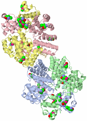 Image Asymmetric Unit