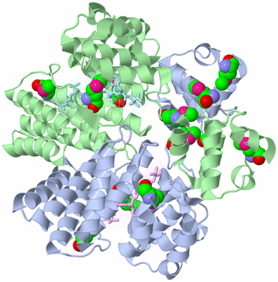 Image Biological Unit 1